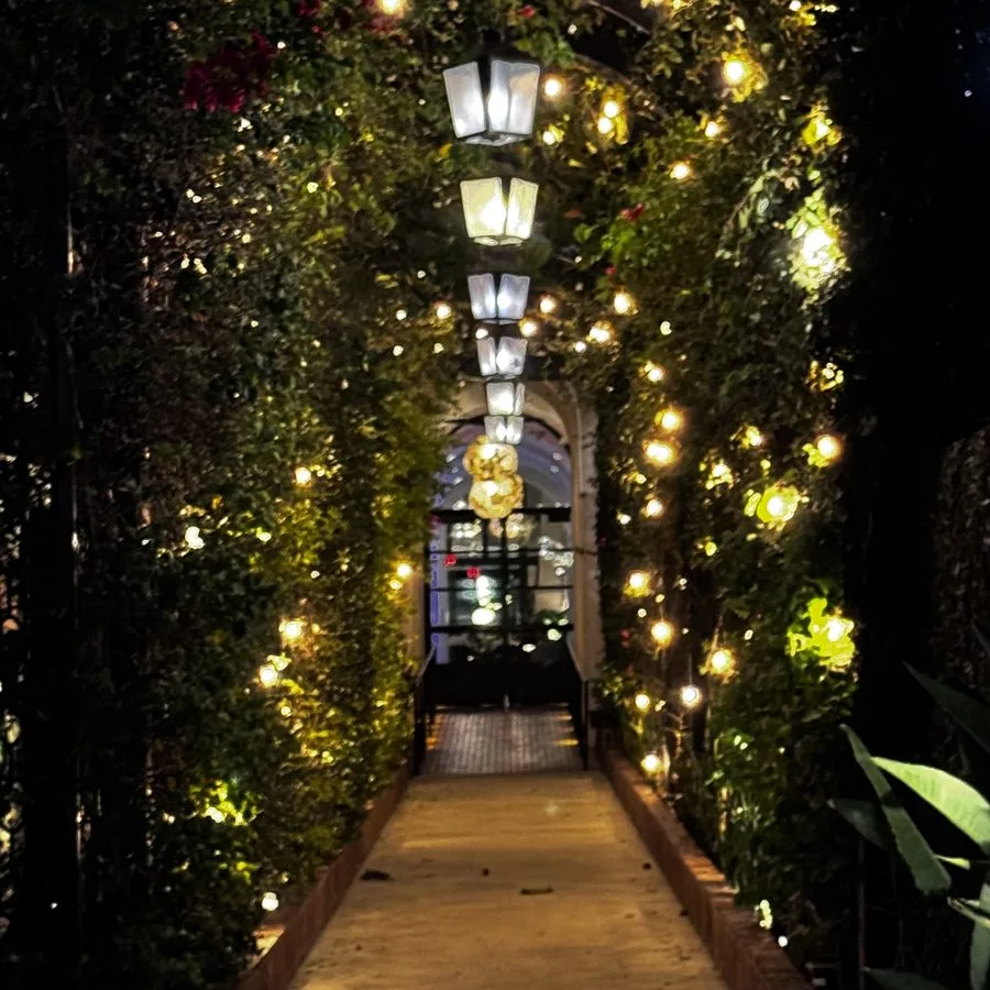 Terrace cover: a lantern-lit garden path at night